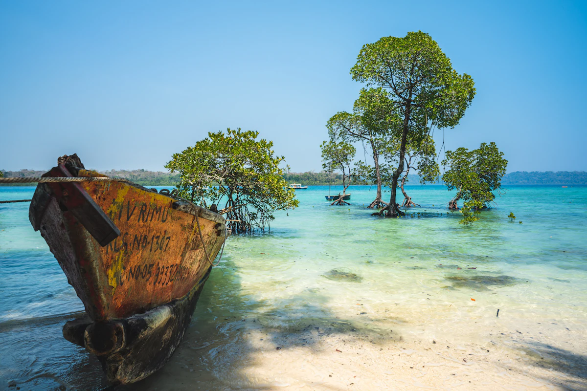 Turquoise water and trees on a beach in the Andaman Islands