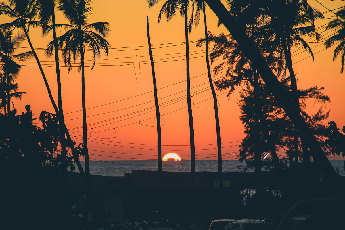Sunset over a Goa beach lined with palm trees